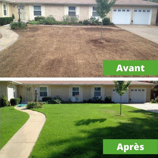 Rouleau de Gazon Biodégradable - Rouleau de Gazon Pousse Rapide