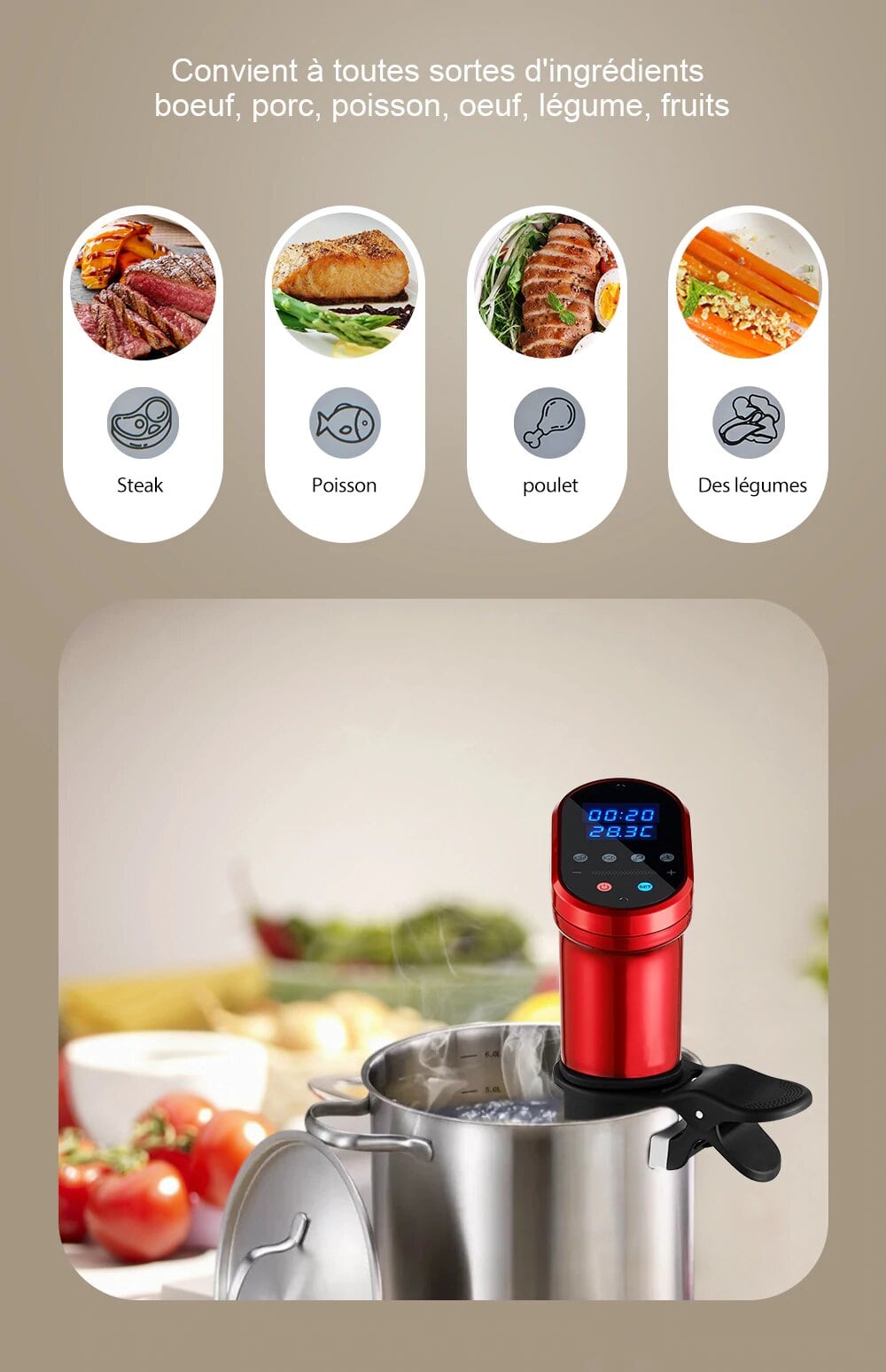 Thermoplongeur Cuiseur Sous Vide Intelligent