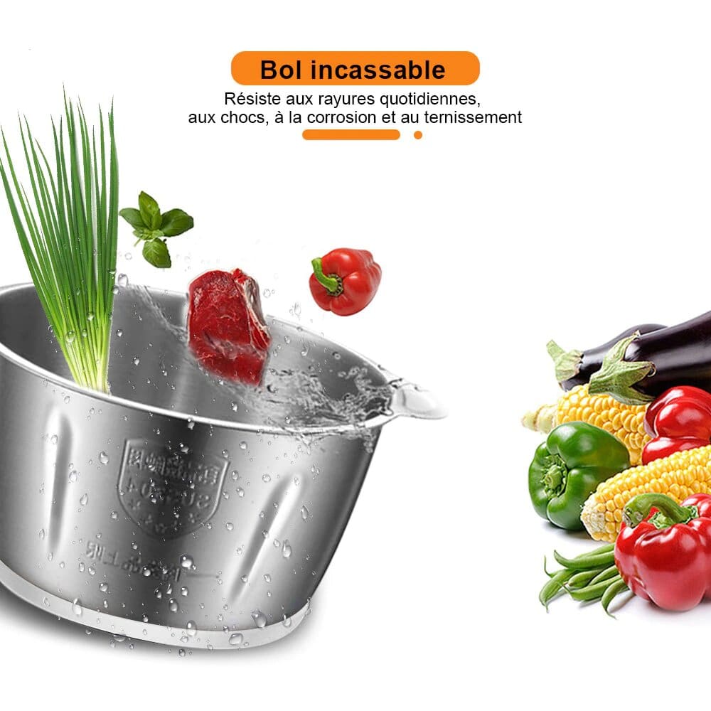 Hachoir à Viande Électrique 500W 2L